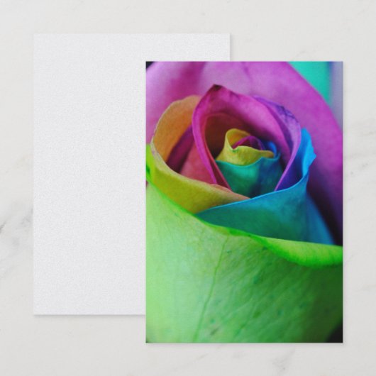 レインボーバラ5 招待状 (正面/裏面)