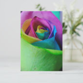 レインボーバラ5 招待状 (スタンド正面)