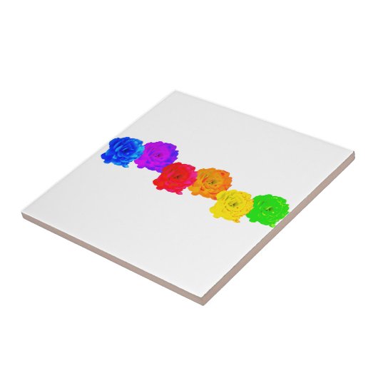 レインボーバラ タイル (側面)