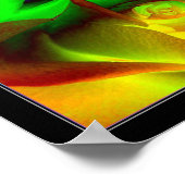 レインボーバラ ポスター (角)