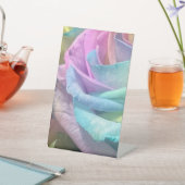 レインボーバラ 台座サイン (インサイチュ)