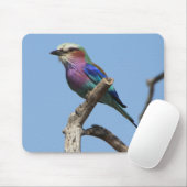 レインボーバードマウスパッド マウスパッド (マウス)