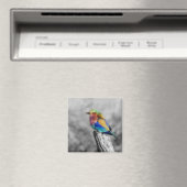 レインボーバード マグネット (インサイチュ (食洗機))
