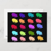 レインボーピッグ ポストカード (正面/裏面)