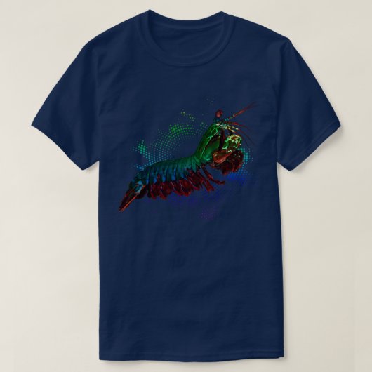 レインボーピームス Tシャツ (デザイン正面)