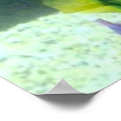 レインボーフィッシュポスター ポスター (角)