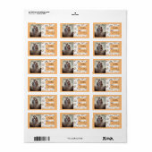 レインボーフォトブライトボホ差出人住所ラベル ラベル (フルシート)