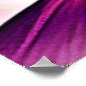 レインボーフクロウパーチアート ポスター (角)