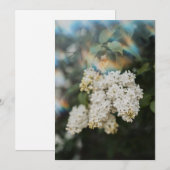 レインボーフレア付きの白いライラックの花 カード (正面/裏面)