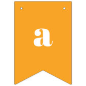 レインボーブライト誕生日パーティー バンティングフラッグ (第3の旗)