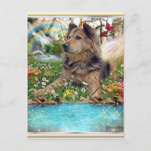 レインボーブリッジで待つ ポストカード (正面)