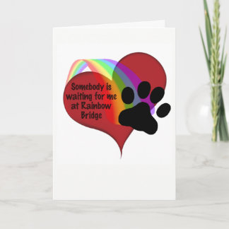 レインボーブリッジの猫で、誰かが私を待っている カード