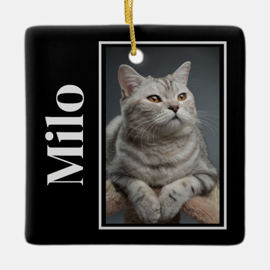 レインボーブリッジを渡るシルバーペットキャットメモリアル セラミックオーナメント (正面)