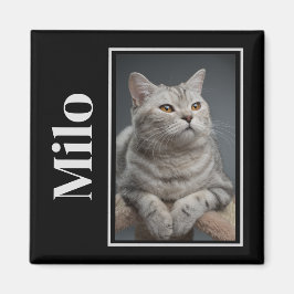 レインボーブリッジを渡るシルバーペットキャットメモリアル マグネット