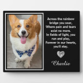 レインボーブリッジを渡るシルバー犬の記念碑 フォトプラーク (正面)
