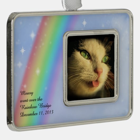 レインボーブリッジオーナメントと写真&文字 シルバープレートフレームオーナメント (右)