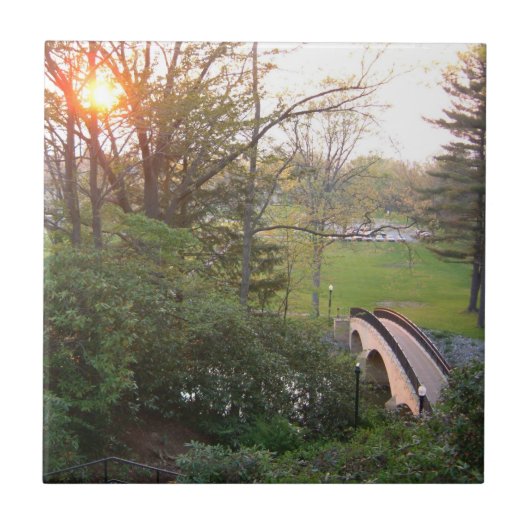 レインボーブリッジサンセットアットグローブシティカレッジ タイル (正面)