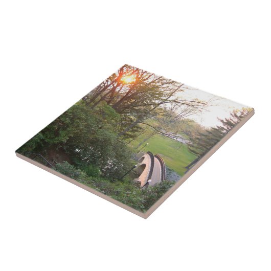 レインボーブリッジサンセットアットグローブシティカレッジ タイル (側面)