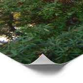 レインボーブリッジサンセットアットグローブシティカレッジ ポスター (角)