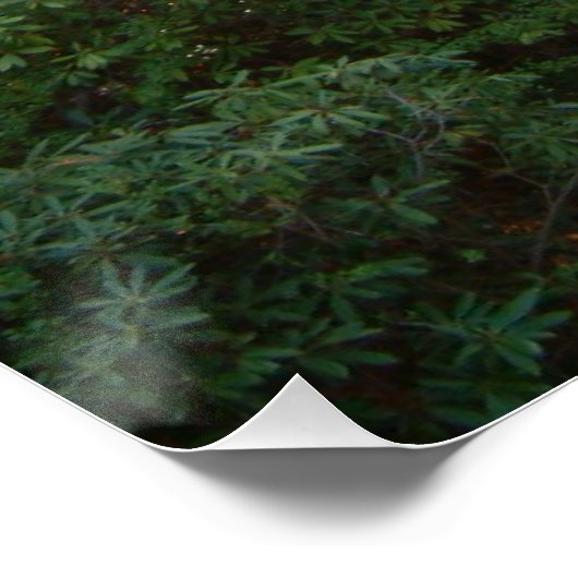 レインボーブリッジサンセットアットグローブシティカレッジ ポスター (コーナー)