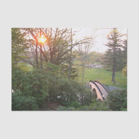 レインボーブリッジサンセットアットグローブシティカレッジ 薄葉紙 (正面)