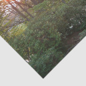 レインボーブリッジサンセットアットグローブシティカレッジ 薄葉紙 (詳細)