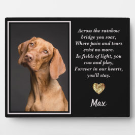 レインボーブリッジビズスラドッグを渡る フォトプラーク