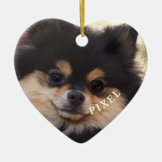 レインボーブリッジフォーエバー我々のハートペットロスOrna セラミックオーナメント (正面)