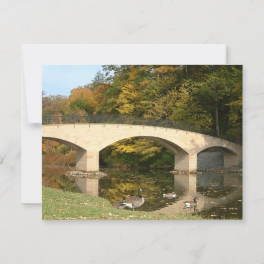 レインボーブリッジ秋アットグローブシティカレッジ (正面)