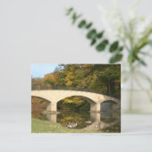 レインボーブリッジ秋アットグローブシティカレッジ (スタンド正面)