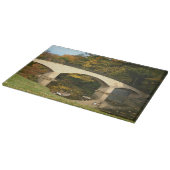 レインボーブリッジ秋アットグローブシティカレッジ カッティングボード (角)