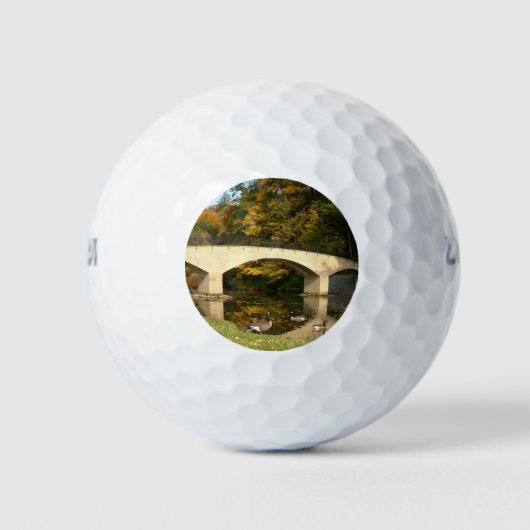 レインボーブリッジ秋アットグローブシティカレッジ ゴルフボール (正面)