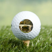 レインボーブリッジ秋アットグローブシティカレッジ ゴルフボール (インサイチュ 木)