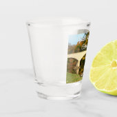 レインボーブリッジ秋アットグローブシティカレッジ ショットグラス (左)