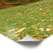 レインボーブリッジ秋アットグローブシティカレッジ ポスター (コーナー)