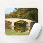 レインボーブリッジ秋アットグローブシティカレッジ マウスパッド (マウス)