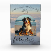 レインボーブリッジ雲ペット記念碑 フォトブロック (正面)