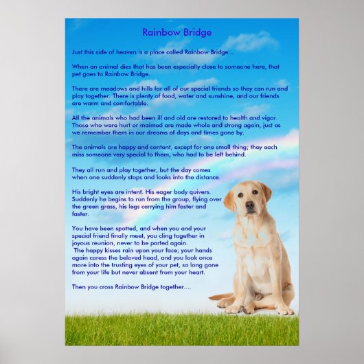 レインボーブリッジ ポスター (正面)