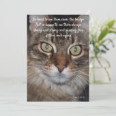 レインボーブリッジ – Cat (スタンド正面)