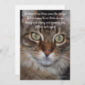 レインボーブリッジ – Cat (正面/裏面)