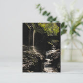 レインボーブリッジatワトキンスグレンポストカード ポストカード (スタンド正面)