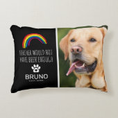 レインボーブリッジPET写真記念記念記念 アクセントクッション (正面)