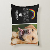 レインボーブリッジPET写真記念記念記念 アクセントクッション (正面(垂直))