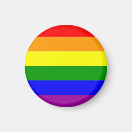 レインボープライドフラッグ LGBTQIA+ マグネット