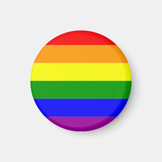レインボープライドフラッグ LGBTQIA+ マグネット (正面)