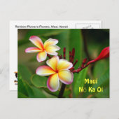 レインボープルメリアフラワーマウイNou Ka Oi ポストカード (正面/裏面)