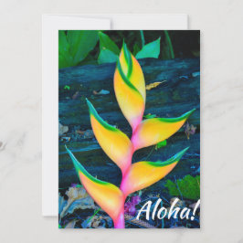レインボーヘリコニア、ヘナ、カウアイ、ハワイ 招待状