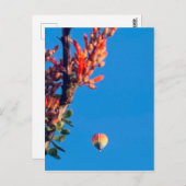 レインボーホットエアバルーンニューメキシコ ポストカード (正面/裏面)