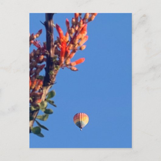 レインボーホットエアバルーンニューメキシコ ポストカード (正面)