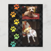 レインボーポーズペットロス悔やみや弔慰カード (裏面)